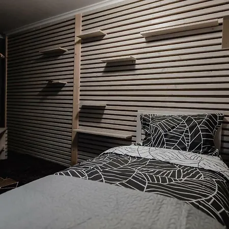 Apartment Casa Biris *
